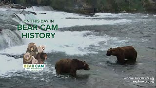 On This Day In Bear Cam History | 856 Challenges 747