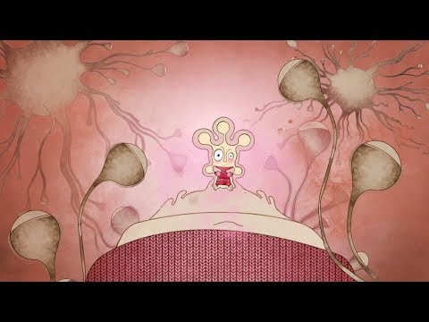 Neurotransmitter -  animated video science