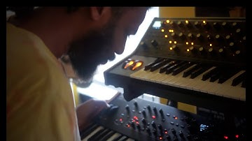 Synth Jam x Moog Sub 37 + DSI Prophet Rev2 x Steff Reed