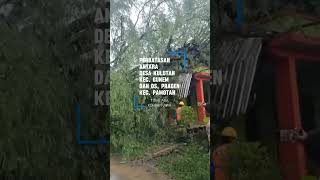 Tamarind Tree Collapses Blocking Pamotangunem Road And Falling On House