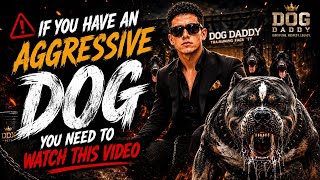 If You Have An Aggressive Dog, You Need To Watch This Video!
