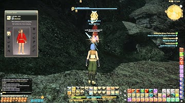 FFXIV - Teleport bot found #3