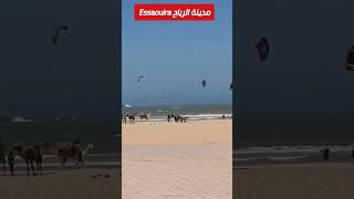 essaouira مدينة الرياح screenshot 5