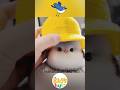 Tiny furry birds! #cute #birds #shorts #viralvideo #trending #music #foryou #fyp