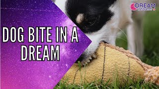 Dog Bite In Dream Meaning And Symbolism