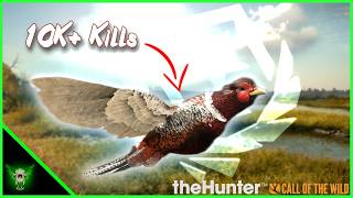My Longest Grind EVER, Great One Pheasant! theHunter: Call of the Wild