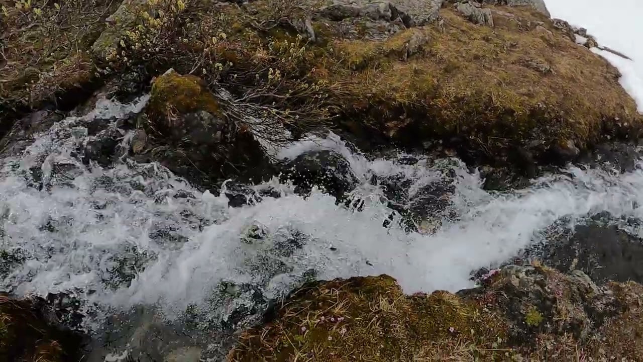The Danger of Snow Bridges