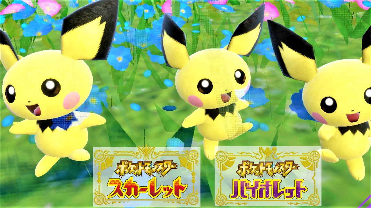 かわいい】ピチュー6匹に囲まれて癒されピクニック【ポケモンSV