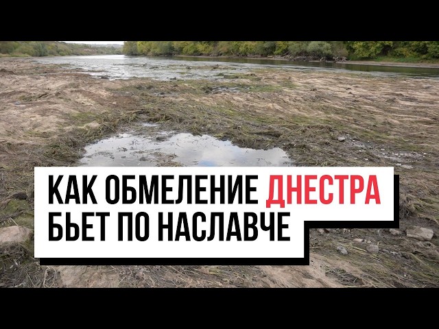 Рыбу собирают руками, мертвой — больше: как обмеление Днестра бьет по Наславче