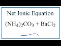 Net Ionic Equations and Their Components