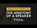 Ep. 9 The Anatomy of a Speaker | World Wide Stereo Live