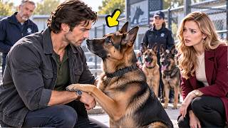 “I’ll Take All of Them,” the Single Dad Navy SEAL Said—Then One Retired K9 Recognized Him