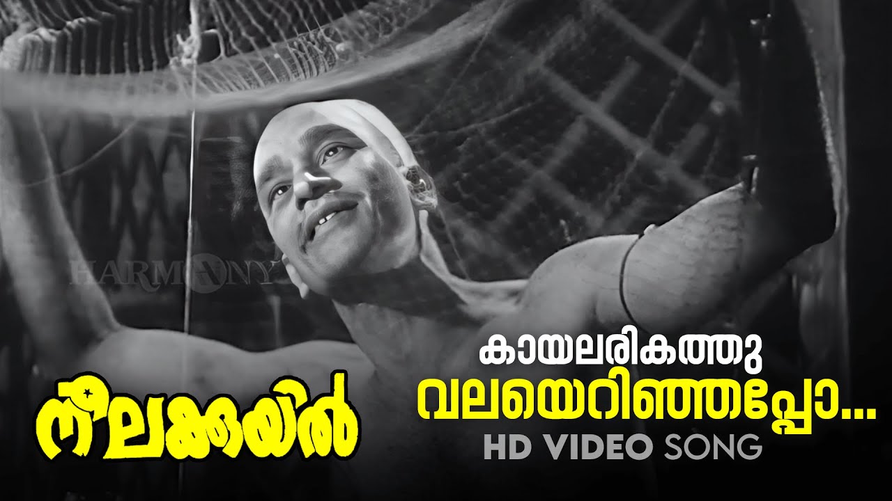 Kaayalarikathu Valayerinjappo   HD Video Song  KRaghavan  PBhaskaran  Neelakuyil1954