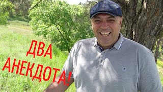 Вовочка сдаёт экзамен. Анекдот!