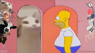 Homer Simpson Opens The Closet With Pop Cat Polish Cow Vibing Cat Siren Head Rick Astley