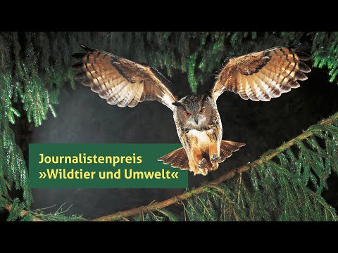 DJV-Journalistenpreis 2020