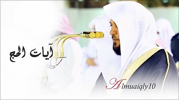 وأذن في الناس بالحج | آيات الحج بأداء كردي ساحر من الشيخ د. ماهر المعيقلي | عشاء السبت ٣٠-١١-١٤٤٢هـ