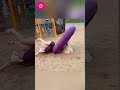 Unbelievable Moments &amp; Epic Fails #32