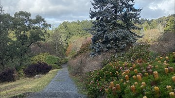 Decolonial Shadow Work: A Beginner