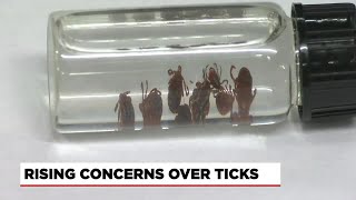 Warmer weather raises concerns over ticks, Lyme disease