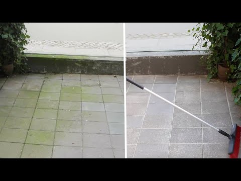 Video: Sådan Fjernes Kattelugt I Dit Hjem