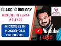 Class 12 | Chapter 8 -MICROBES IN HOUSEHOLD PRODUCTS | Part- 1