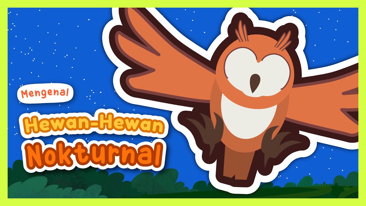 Belajar Kosakata: Mengenal Hewan Nokturnal (Mengenal Nama-Nama Hewan Nokturnal) - Yufid Kids