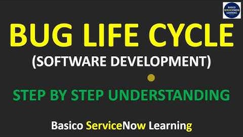 Bug Life Cycle Phases | Bug Life Cycle Explanation