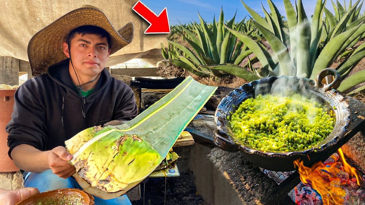 Cocinamos PENCA de MAGUEY
