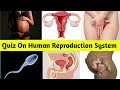 Quiz On Human Reproduction System|General knowledge questions answers on human reproduction(part-1)
