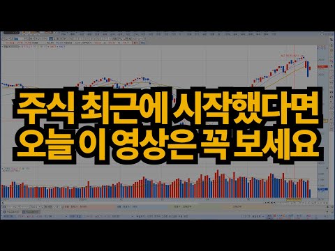 [주식] 최근에 시작한 분들 꼭 보세요 (동학개미 필수시청 영상) #159