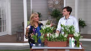 Roberta's 4-piece Lily of the Valley on QVC