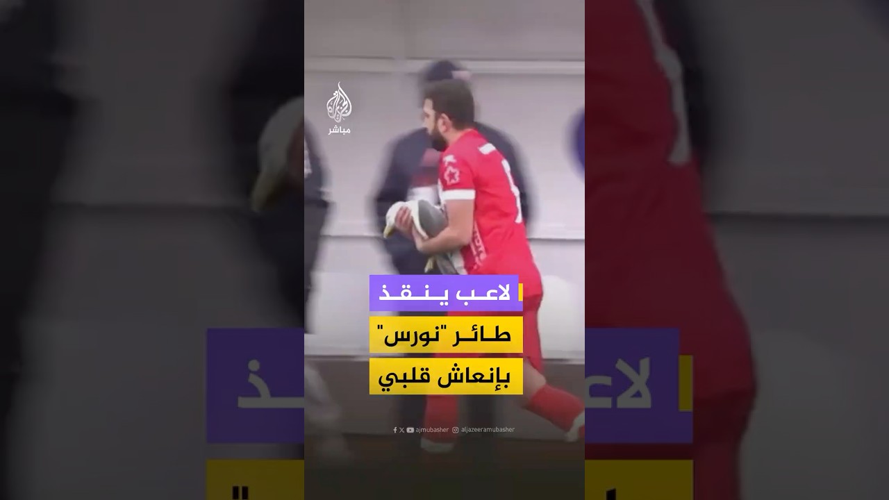قائد فريق يترك مجريات المباراة لإنقاذ طائر "نورس" توقف قلبه إثر اصطدامه بكرة طائشة