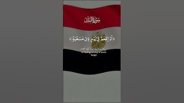 سورة البلد #المستشار_أبو_زيدان #ترند #اكسبلور #لايك #قرآن #قران_كريم #قران_كريم_بصوت_جميل_جدا