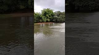 Represa da Usina Cucau em Rio Formoso - PE 🌊🌿"