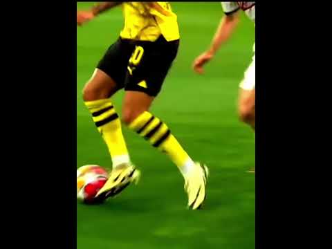 Sancho Insane Performance