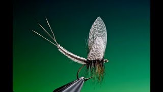 Fly Tying extended mayfly dry fly body tutorial with Barry Ord Clarke