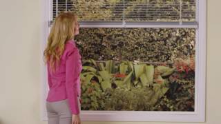 Aluminum Blinds - Cordless Lift & Lock
