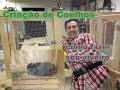 Como Fazer um Viveiro para Coelhos - FAÇA VOCÊ MESMO / How to Make a Rabbit Hutch - Do it yourself