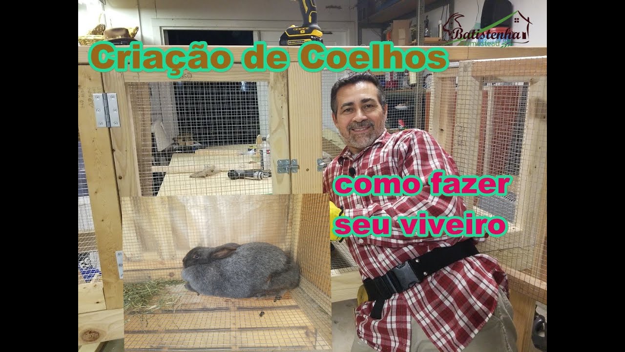 Como Fazer um Viveiro para Coelhos