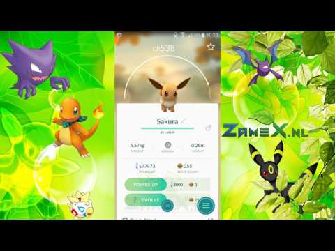 Pokemon GO Eevee evolves into Espeon (Sakura)