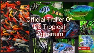 Official Trailer Of DS Tropical Aquarium. #fish #aquariumfishfish #aquariumfish #allfishing