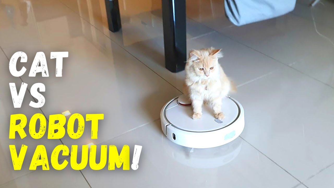 Cat Rides The Robot Vacuum, Will He Stay On? YouTube