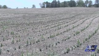 National Weather Service confirms tornado in south Nebraska