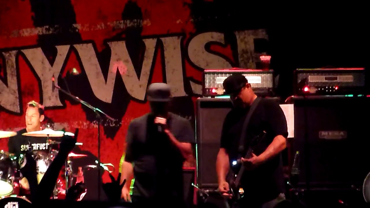 Pennywise Circle Jerks - Wild In The Streets