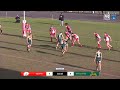 South Newcastle Lions v Macquarie Scorpions - Round 10 Highlights | Newcastle Rugby League 2022