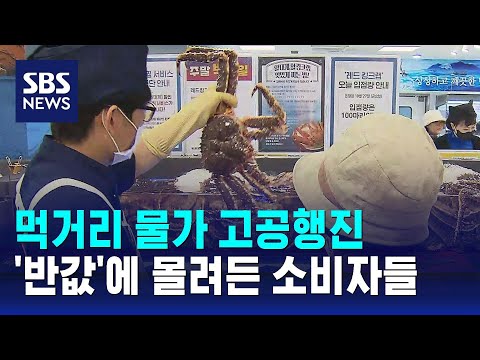 먹거리 물가 고공행진…'반값' 행사에 몰려든 소비자들 / SBS