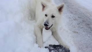 IMG 59971