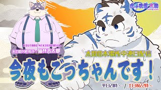 今夜もごっちゃんです！太助の本場所中連日配信【一月場所十三日目】