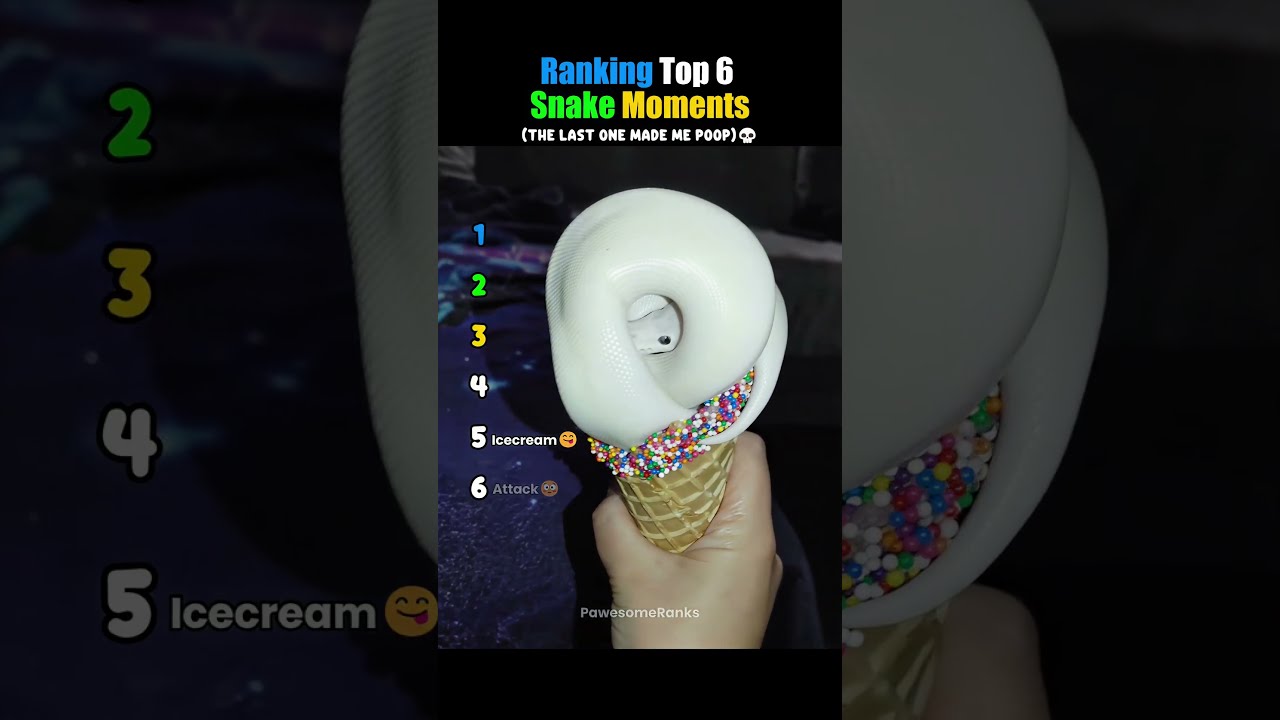 Ranking Top 6 Snake Moments🫢